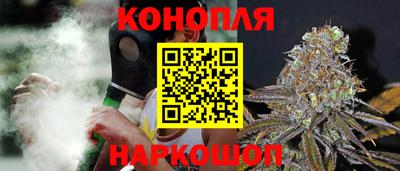 сатива Ливны