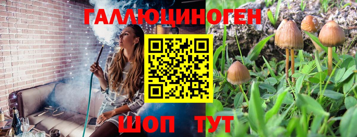 Галлюциногенные грибы прущие грибы Энгельс