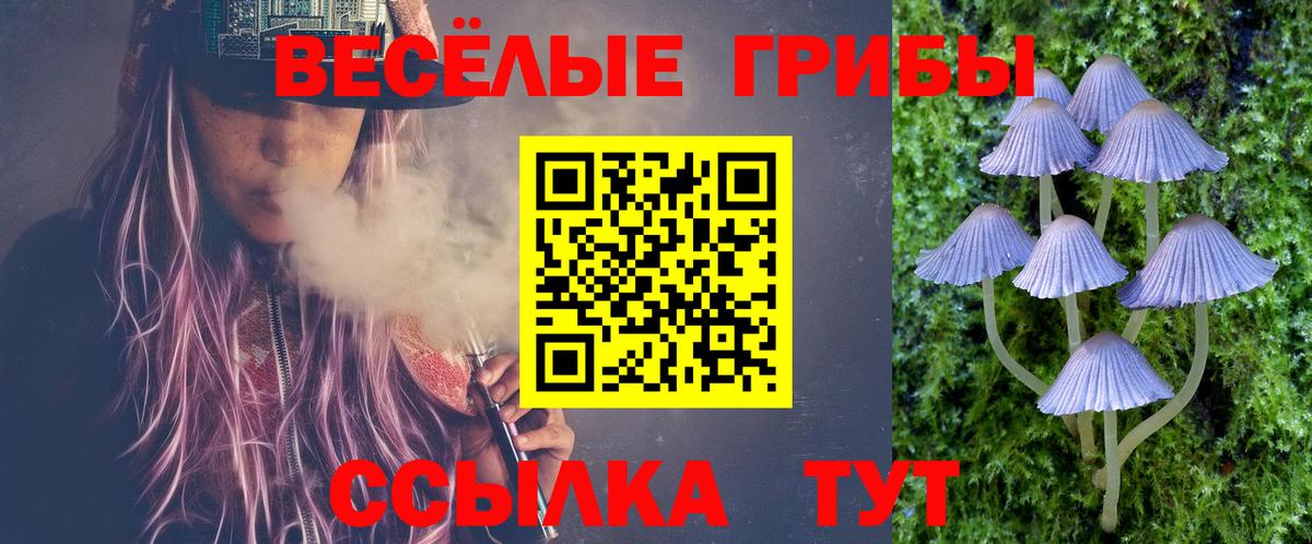 хочу   Вход с VPN  Энгельс  Галлюциногенные грибы Psilocybe  Псилоцибиновые грибы Psilocybine cubensis 