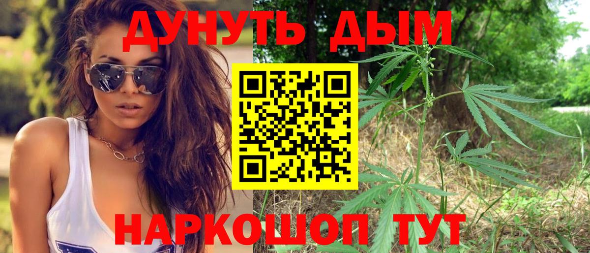 Конопля OG Kush Энгельс
